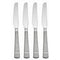 Oneida Tiramisu Set of 4 Dinner Knives